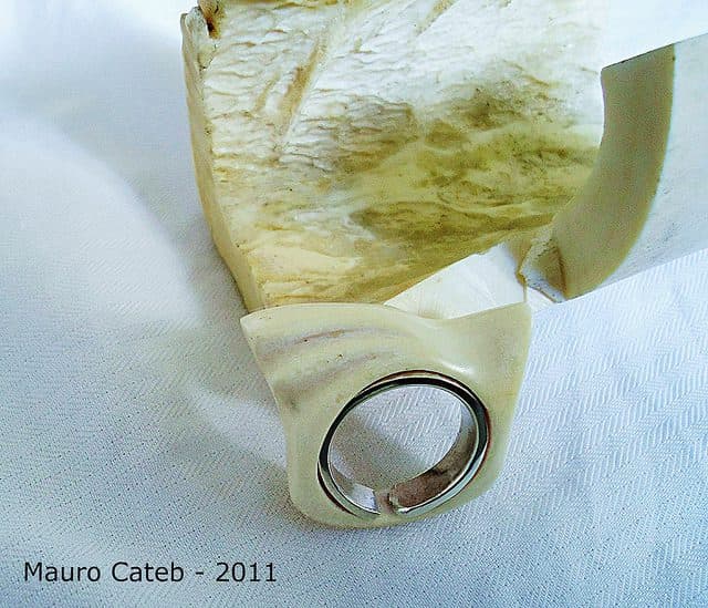 bone apatite - hydroxylapatite ring