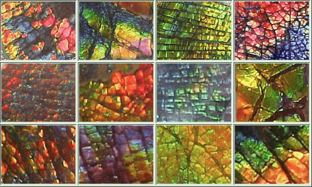 Ammolite K Zone Patterns