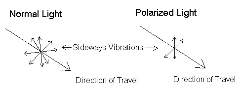 Normal and Polarized Light