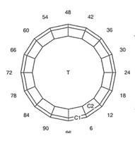 Micro: Faceting Design Diagram