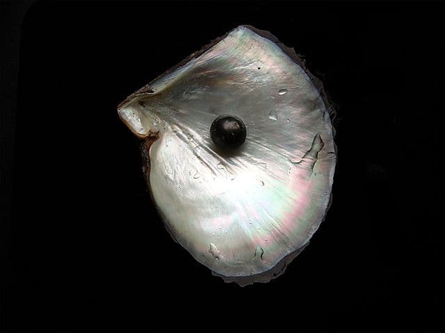 Dye Testing is not recommended for black pearls