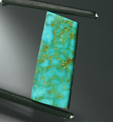 chicken-track matrix - Nevada