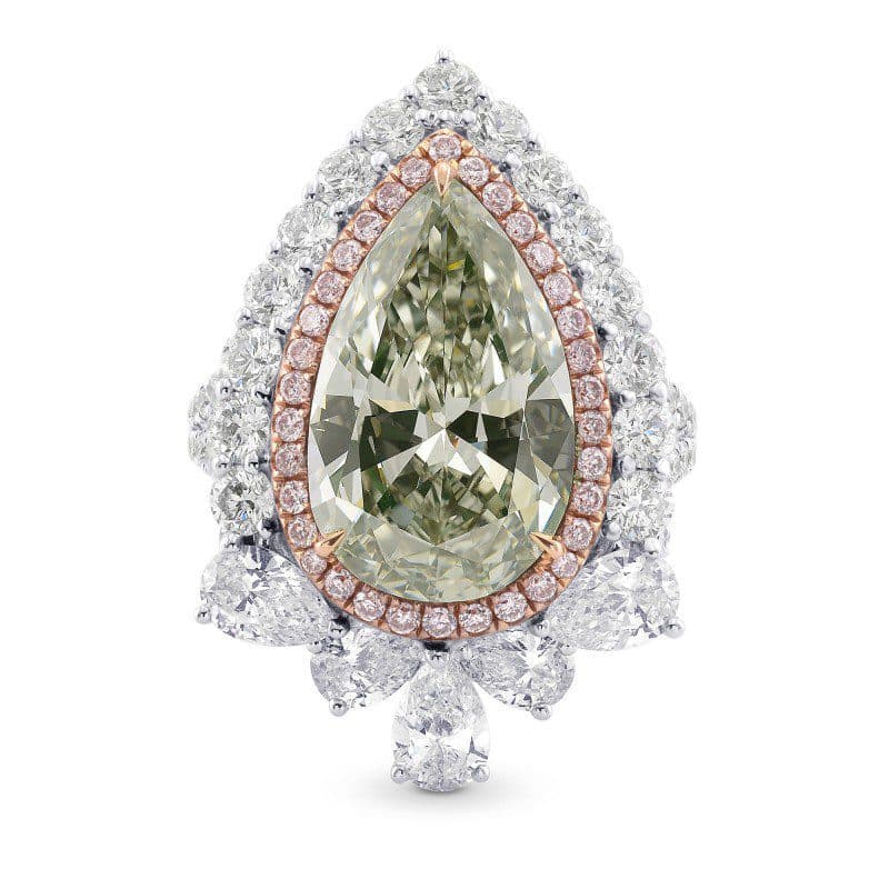 pear shaped chameleon